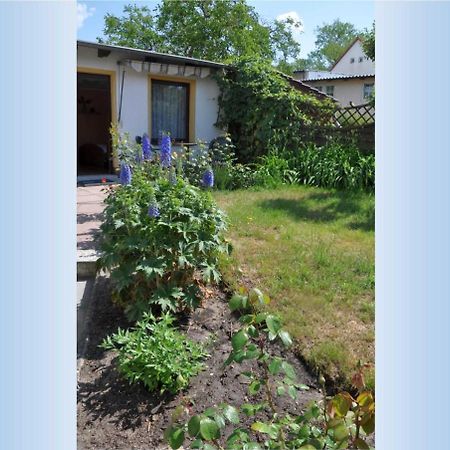 Ahlbeck_Seebadwohnung 03 Heringsdorf Dış mekan fotoğraf